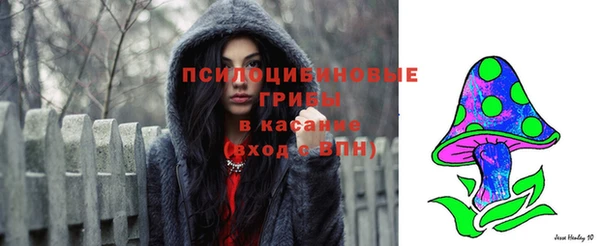 твердый Богородицк