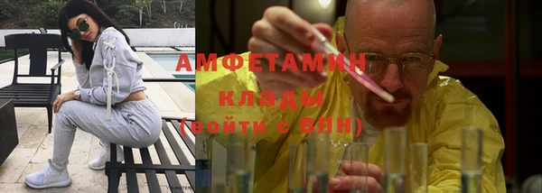 крисы Богданович