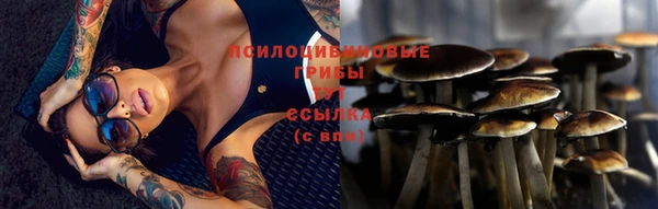 твердый Богородицк