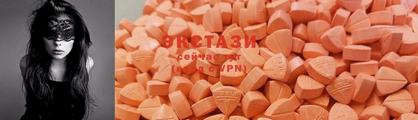 крисы Богданович