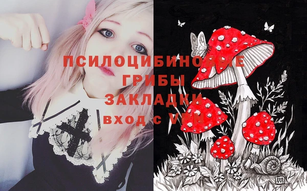 крисы Богданович