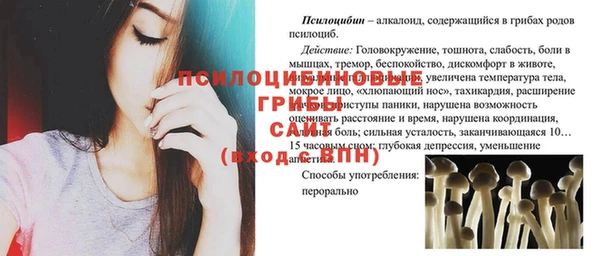 крисы Богданович