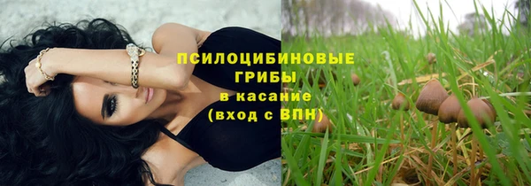 крисы Богданович